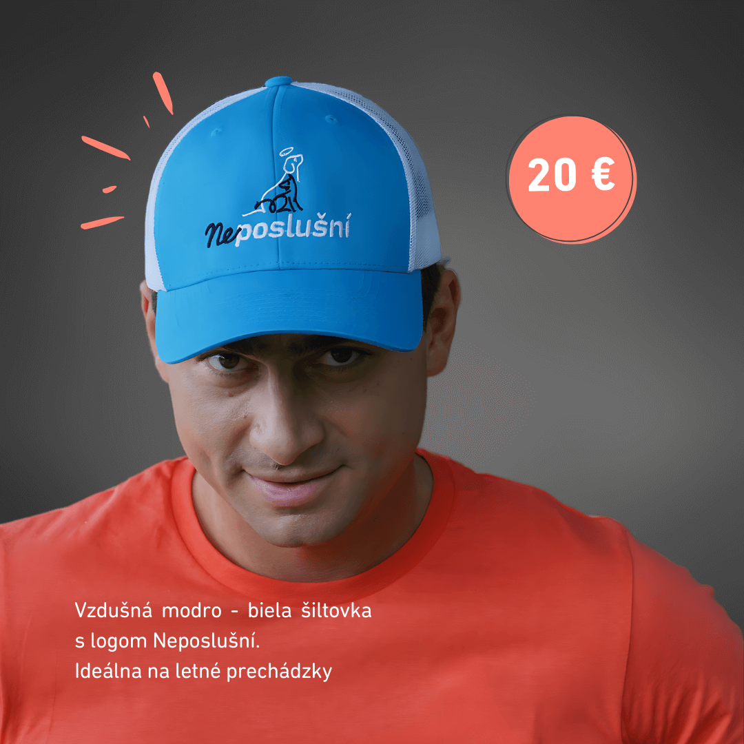 Šiltovka NEPOSLUŠNÍ